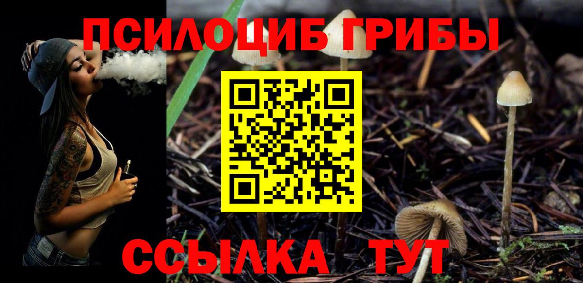 Галлюциногенные грибы мицелий  Вход с VPN  Моздок 